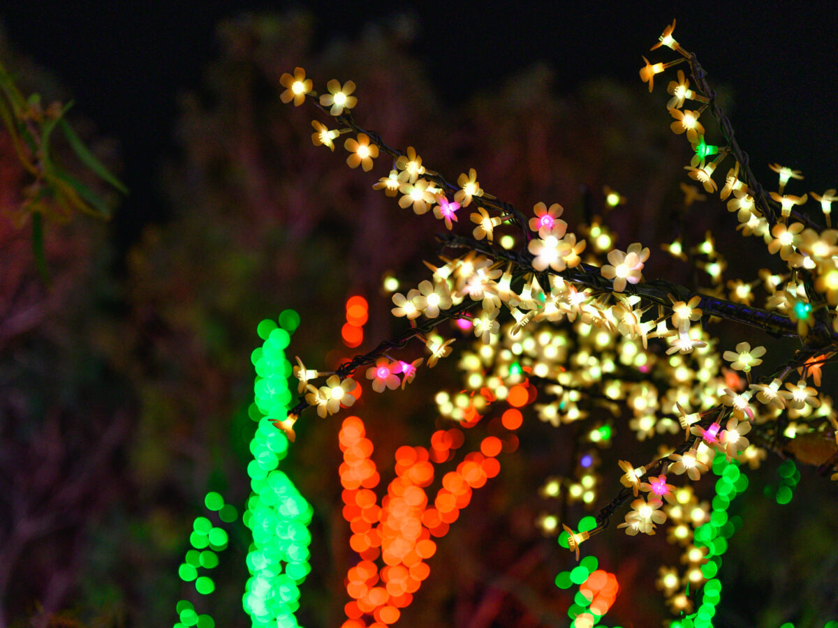 City of Rockingham Christmas Lights